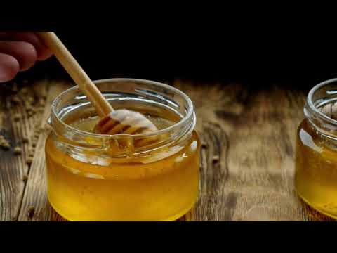 Best Medicinal Plants To Grow Inside (Healthy Lifestyle Plants)