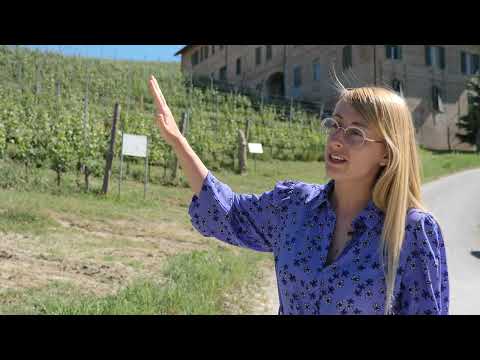 Tour nei vigneti di Casa E. di Mirafiore