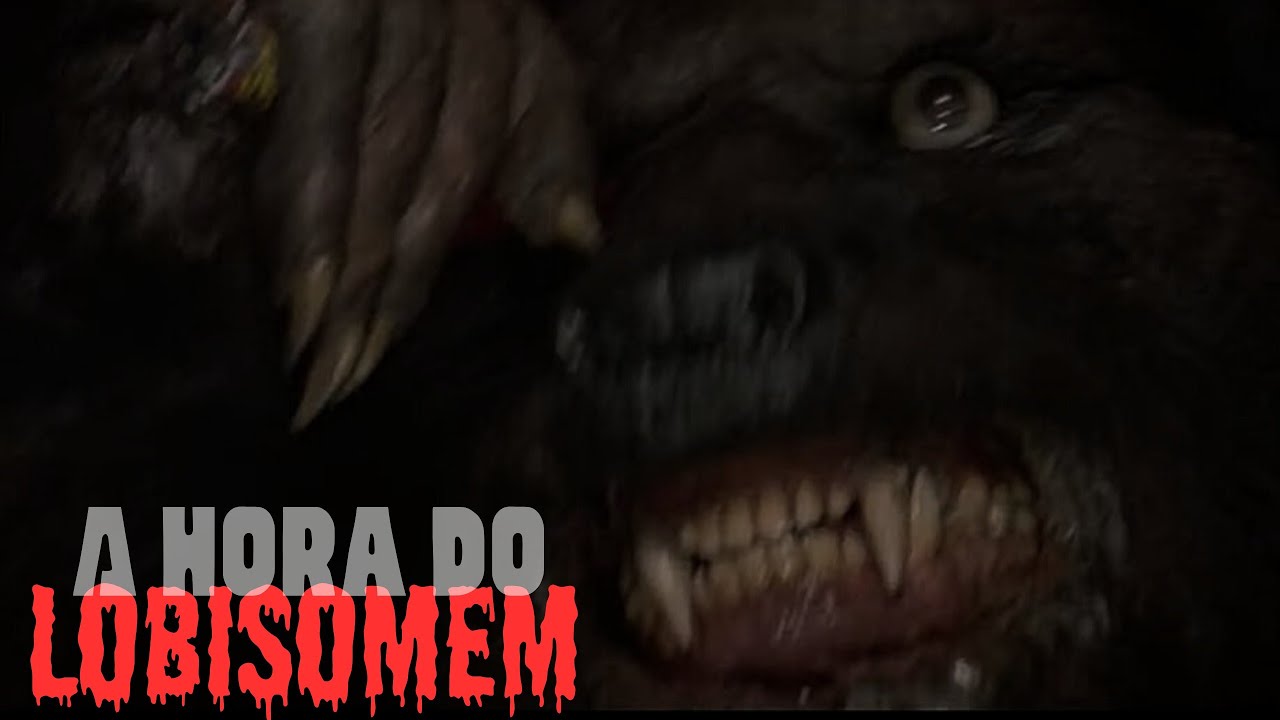 A HORA DO LOBISOMEM. (A HISTÓRIA COMPLETA DO LIVRO)