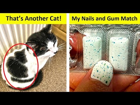 Coincidences That Are Almost Too Good to Be True