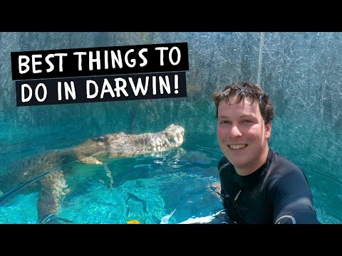 The CAGE OF DEATH // Best Things to do in Darwin, Australia