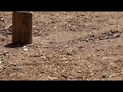 Gå til Island efter sild