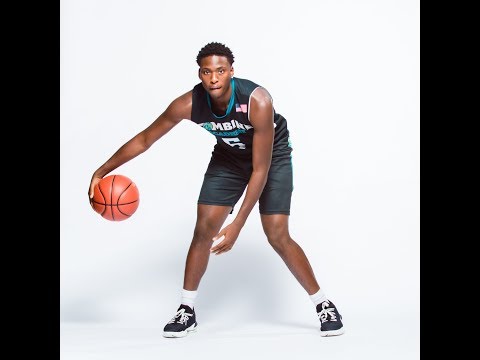 Combine Academy PG: Josh Adoh - Guard - 6'3" - 195 - c/o 2020 - Season Highlights