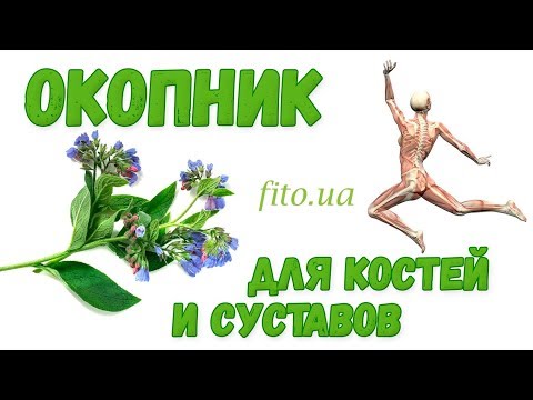 Живокост - Окопник для костей и суставов, как приготовить, противопоказания