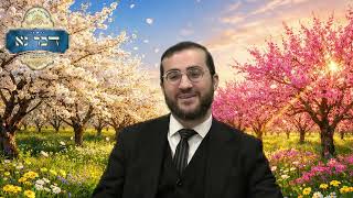פסח - הלכות חודש ניסן, ודיני ברכת האילנות | סיכום ההלכות והמנהגים של חודש ניסן | רבי דוד בכר