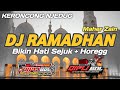 DJ RAMADHAN MAHER ZAIN BIKIN HATI SEJUK HOREGG
