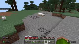 マイクラ#6