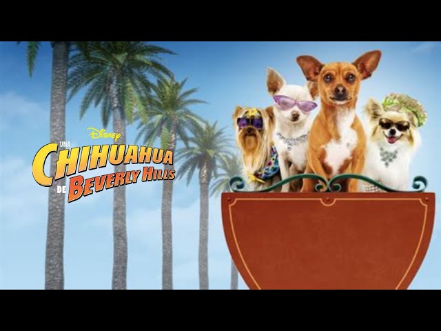 Vídeo relacionado con Beverly Hills Chihuahua 1-3 Tripack DVD [Reino Unido]