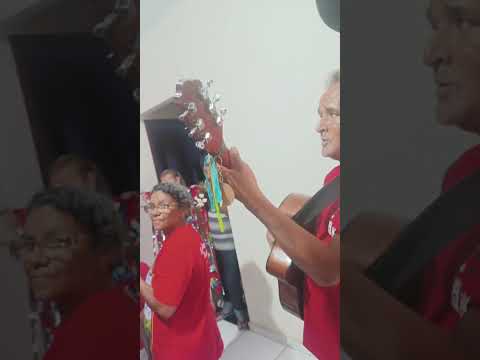 Folia de Reis de São Sebastião em Santa Cruz de Salinas Minas gerais