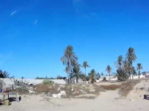 Djerba: "Palmenfahrt" rund um Mahboubine 09.02.2013