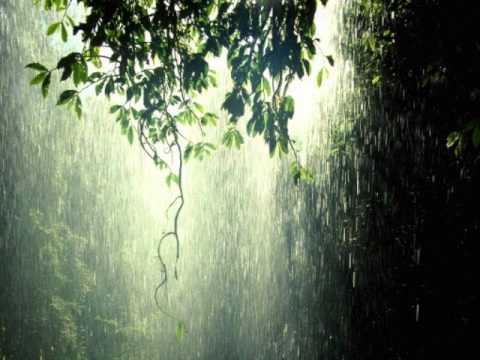 Richard Burmer - A Story From The Rain