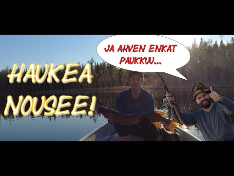 Avovesikauden avaus | ja ahven ennätykset uusiksi!