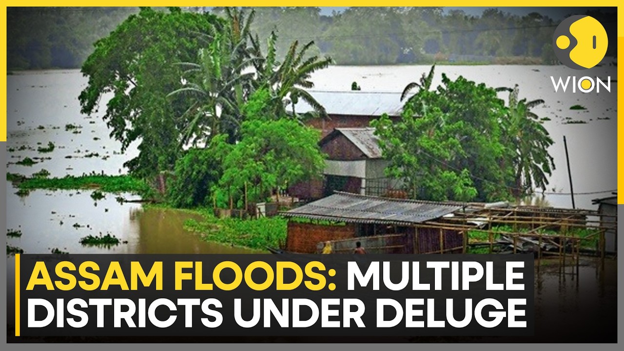 Assam Floods: Weather Department Issues Yellow Alert For Assam | WION News