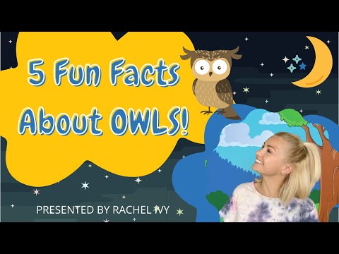 5 FUN FACTS ABOUT OWLS! IVY TV KIDS! Fun owl facts for kids!