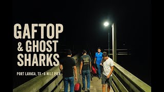 First Go at a Night Fishing Story | Gaftop & Ghost Sharks