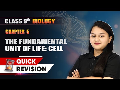 Matter In Our Surroundings Quick Revision Class 9 Chemistry Chapter 1 CBSE 2025 26