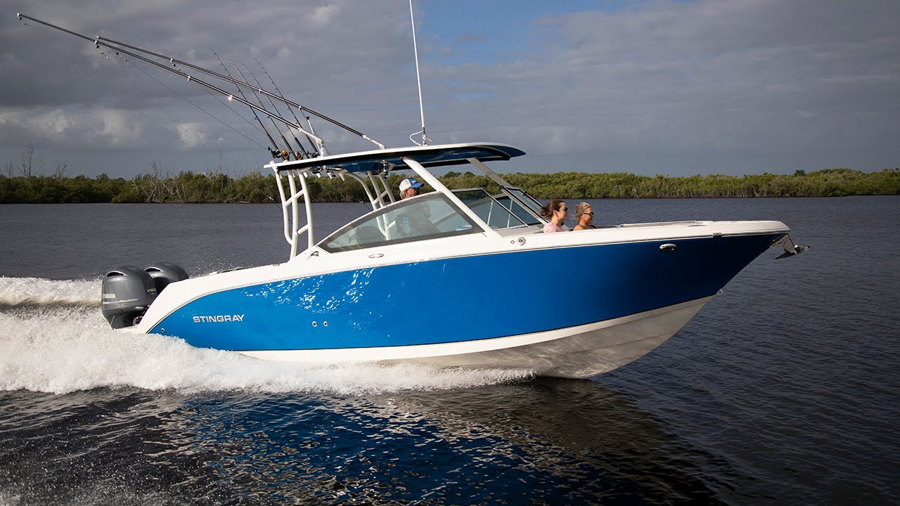 Обзор Stingray 269 DC