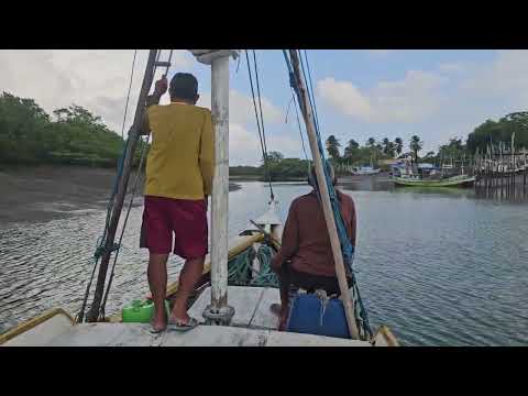  RESERVA EXTRATIVISTA DE CURURUPU-MARANHÃO-(COMUNIDADE DE MIRINZAL)