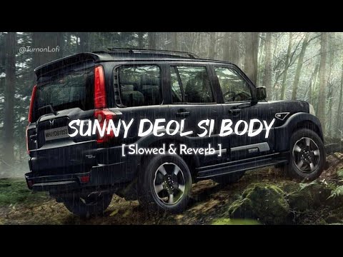 Sunny Deol Si Body Re (Slowed & Reverb)Raju Punjabi |Choudhar Jaat Ki LatestHaryanvi Song