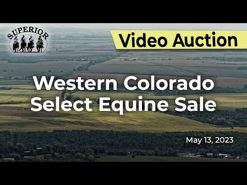 Western Colorado Select Equine Sale