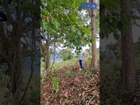 san antonio tolima tierra fértil y de abundancia #viral_video #turismo #travesia