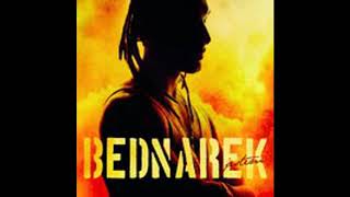 Kamil Bednarek feat Raging Fyah - Get Up ( reggae music to the world )