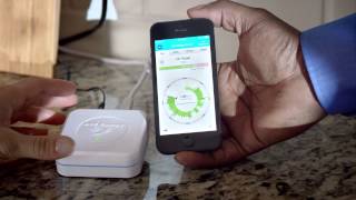 Know Your Own Power: DTE Insight App