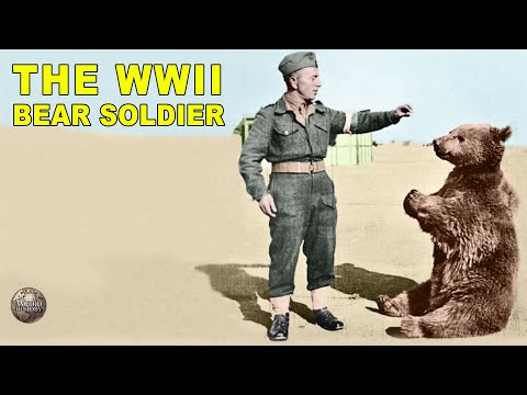 Wojtek: Poland’s Bear Soldier Who Fought Hitler's Nazis