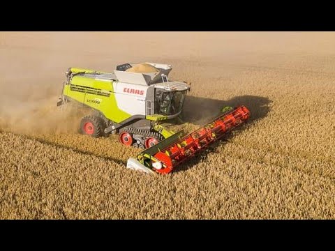 Claas Lexion 770 am Gerste Dreschen | Getreideernte 2021