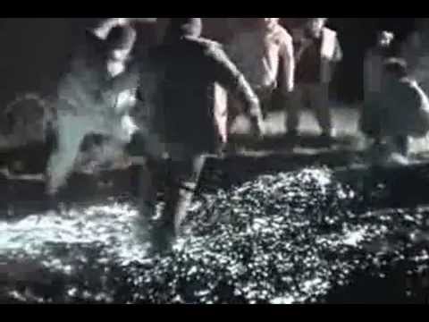 MILAN DOMAJNKO - SOSED & HOJA PO ŽERJAVICI