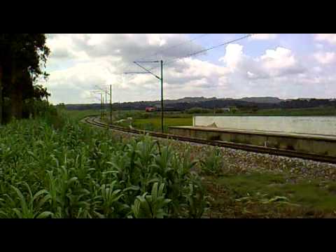 Comboio de Madeira nº 95204 - Apeadeiro do Bicanho