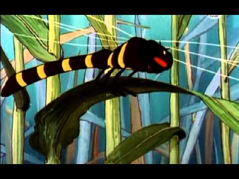 Pszczolka Maja   03 Spotkanie z robaczkiem muchą i ważka
