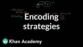 Encoding strategies | Processing the Environment | MCAT | Khan Academy