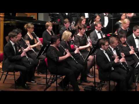 Øyvind Moe – Cerebral Vortex (ECWO Utrecht 2016)