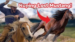 Download lagu We Try to Catch a Wild Mustang! (Again) mp3