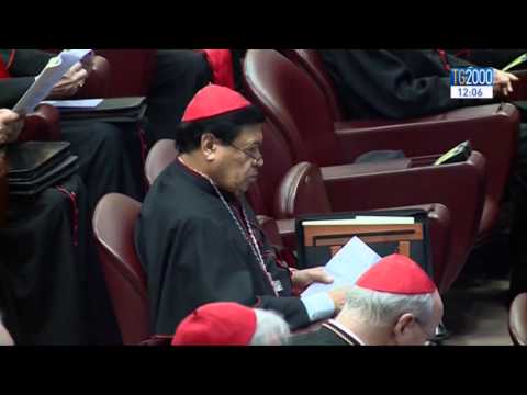 Tg2000 del 12 febbraio 2015 - Edizione delle 12