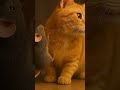 A Playful Gray Mouse Is Climbing Up And Down On An Orange Cat S Body Cat Mouse Playing Catshor