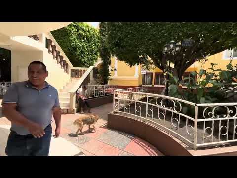 2 de octubre de 2025