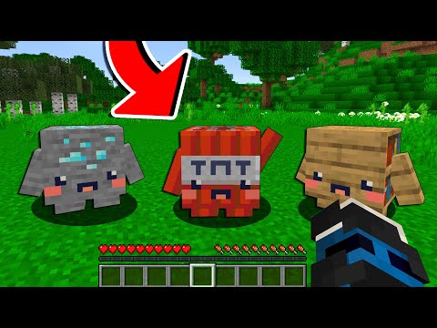 MINECRAFT MA TUTTI I BLOCCHI SONO VIVI!!