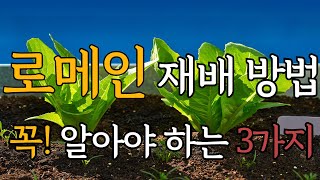 로메인을 키울 때 꼭 알아야 하는 3가지 !!