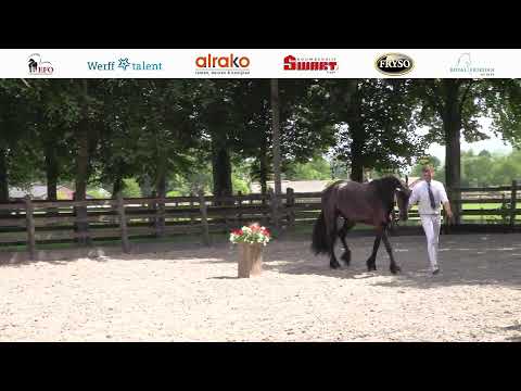 Locatie keuring Demro Stabels | 28 mei 2022