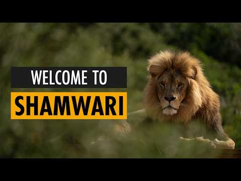 Born Free In Partnership With Shamwari