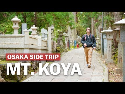 大阪市內的小谷山之旅｜Japan-guide.com (Osaka Side Trip to Mt. Koya | japan-guide.com)