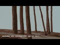 Midlake - She Removes Her Spiral Hair