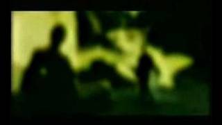 Bluebottle Kiss - Last Playboy In Town