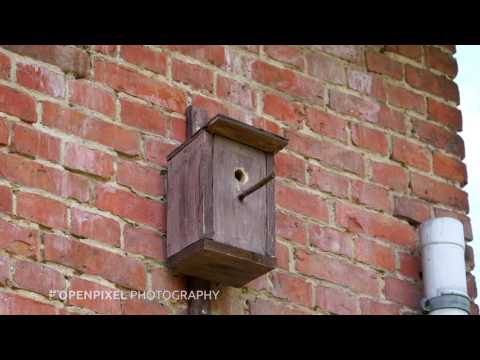 170507 openpixel gh5 test 01