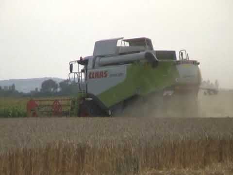 Persyn-Steelandt: Maaidorsen.