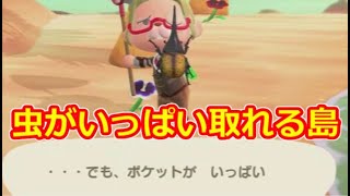 【あつ森】離島で虫をたくさん捕まえる！