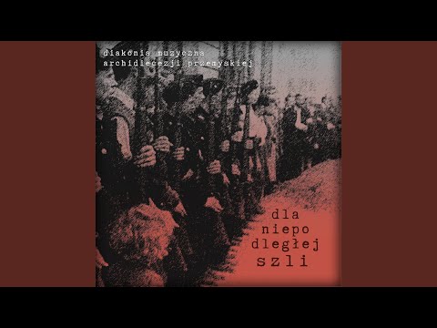 Dla Niepodległej szli