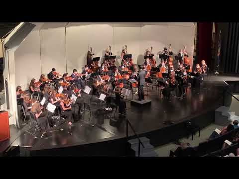 NHS Symphony Orchestra 2021